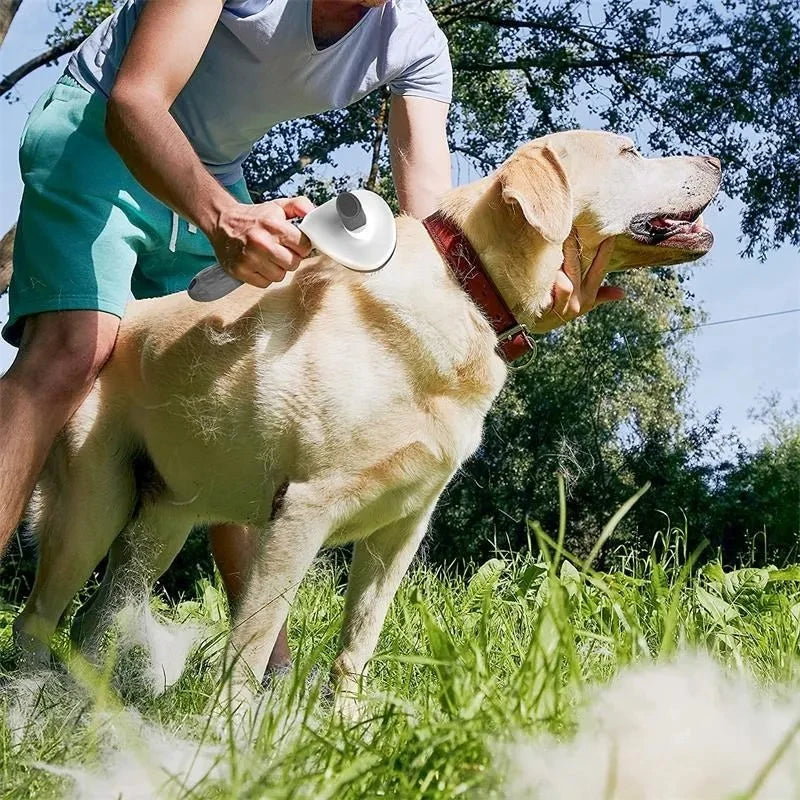 FurJoy Pet Brush