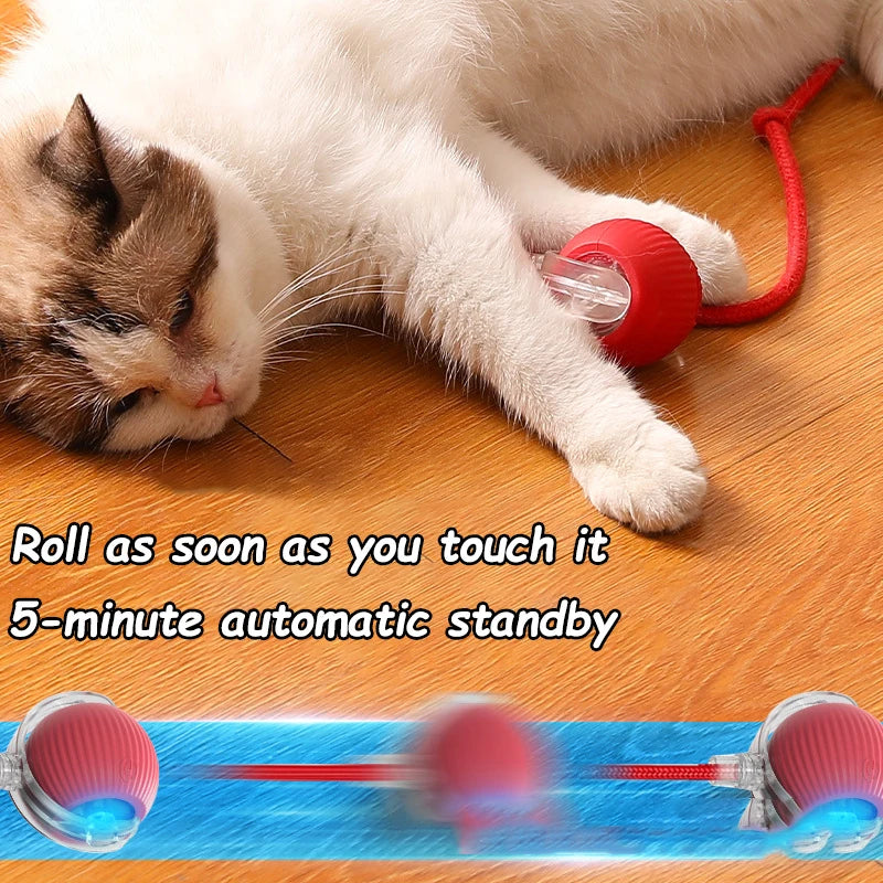 PurrJoy Spinner