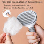FurJoy Pet Brush