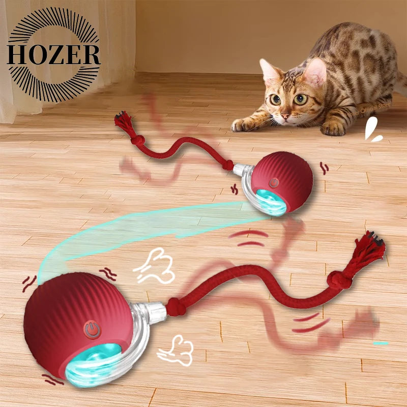 PurrJoy Spinner
