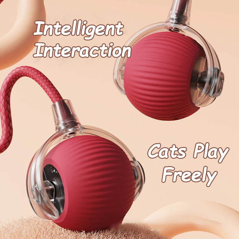 PurrJoy Spinner