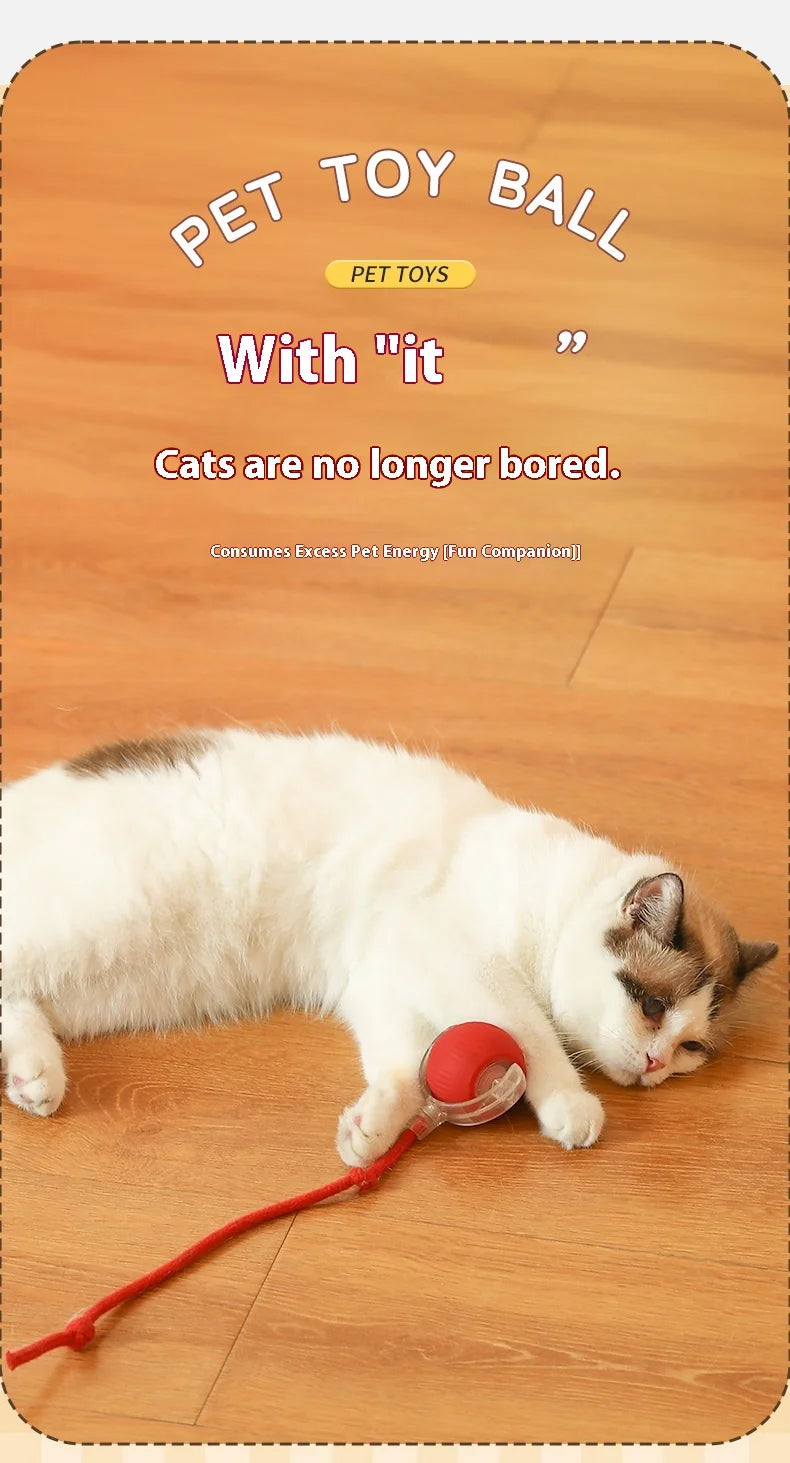 PurrJoy Spinner