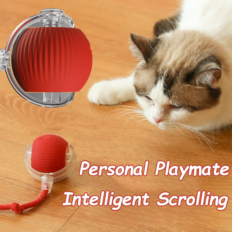 PurrJoy Spinner